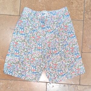 Janie and Jack boy swim shorts. Green dinosaur print. Size 12.